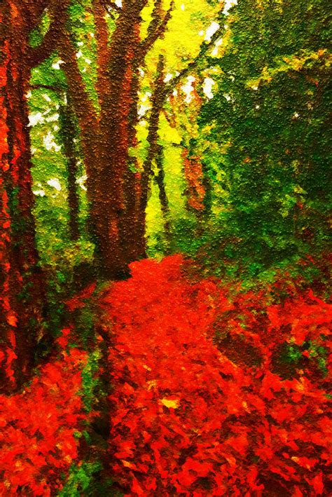 Mother Natures Red Carpet For You Photograph By Neil R Finlay Fine