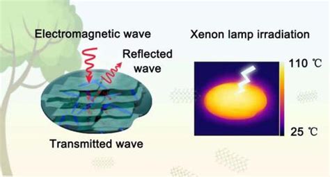 用于多功能电磁干扰屏蔽的超细纤维素纳米晶增强 Mxene 仿生复合材料science China Materials X Mol