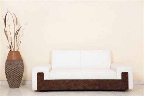 A Polished Coconut Shell And A White Leather Sofa An Exclusive