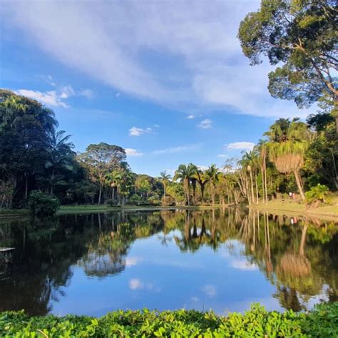 Jardim Botanico Sp - Jardim Botânico SP: 10 pontos IMPERDÍVEIS para sua visita