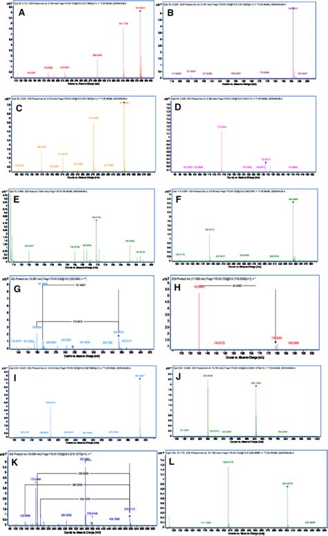 Msms Spectra And Fragmentation Patterns Of Caffeic Acid Derivative