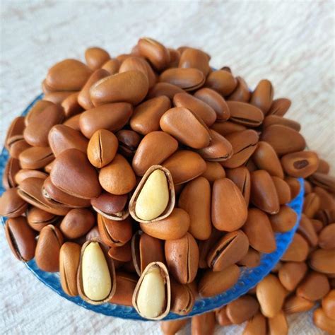 Top Quality Pine Nuts Kernels Good Taste Pine Nuts China Pine Nut And