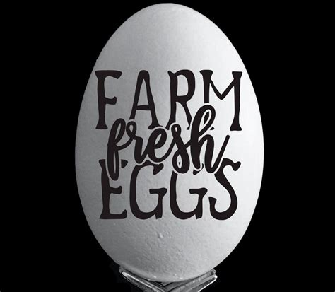 Farm Fresh Eggs Svg Eggs Svg Eggs Dxf Chicken Svg Farmhouse Svg