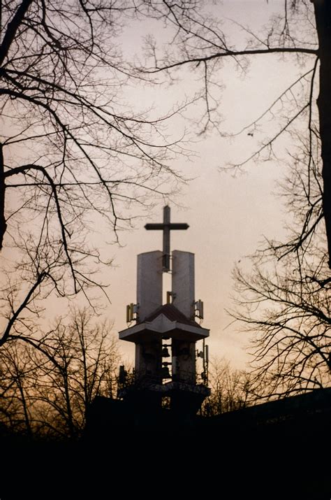 The Importance of Vanadium Catalysts in Industrial Processes and