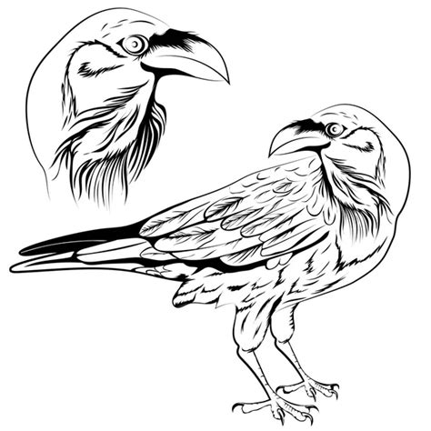 1,003 Raven line art Vector Images, Raven line art Illustrations | Depositphotos