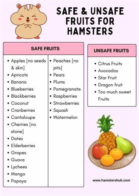 What Fruits Can Hamsters Eat Safe Unsafe Fruit List HamstersHub