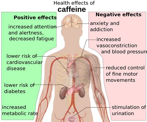 Caffeine Negative Effects