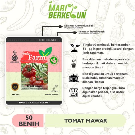 Jual Benih Biji Bibit 50 Tanaman Tomat Mawar Indo Farm Kualitas Unggul