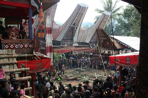 Torajan Funeral Ceremony Sulawesi Sulawesi Times Of India Travel