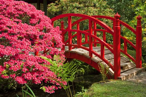 49 Backyard Garden Bridge Ideas and Designs (PHOTOS)