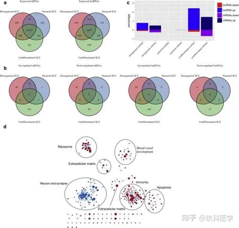 组学攻略转录组多组学关联思路研究，实现高分sci发表 知乎