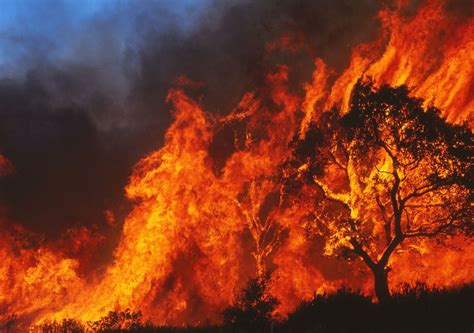 La Sardegna Brucia Dozzine Di Incendi Alimentati Dal Maestrale