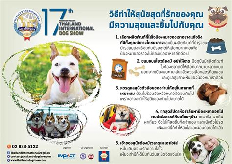 how to make your dog smile