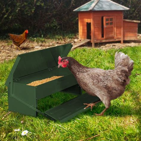 Abreuvoir Et Mangeoire Pour Basse Cour Et Poulailler Chicken Coop Run