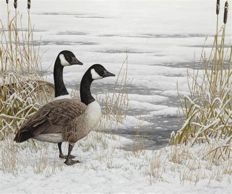 Tudor Galleries Canada Geese Snow Bound