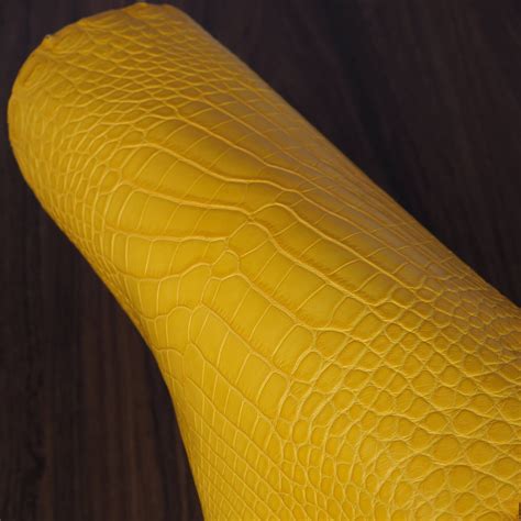 Alligator vs Crocodile: Which is Better? - LEATHERBOUND