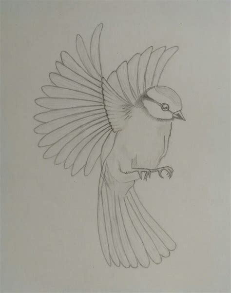 Simple Flying Bird Sketch | Bird sketch, Bird drawings, Book art drawings