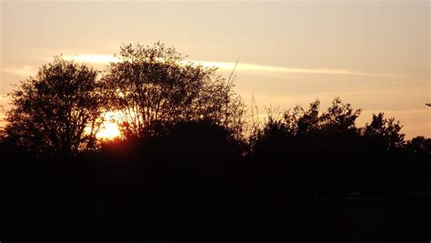 Free Images Tree Nature Branch Light Cloud Sky Sunrise Sunset