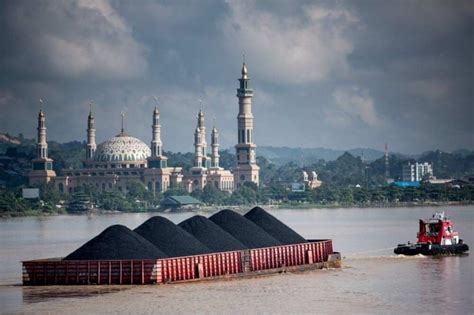 Solusi Pengangkutan Batu Bara Di Jambi Pelabuhan Tenam Siap Digunakan