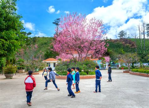 150+ Vietnam School School Uniform Education Stock Photos, Pictures ...