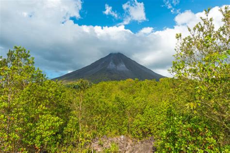 10+ Costa Rica Zip Line Arenal Stock Photos, Pictures & Royalty-Free ...