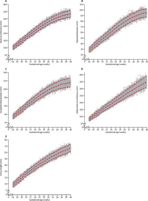 International Standards For Fetal Growth Based On Serial Ultrasound Measurements The Fetal