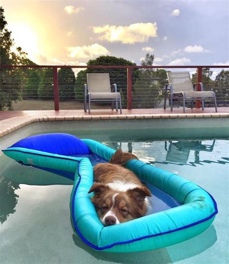 Just 21 Dogs Doin Themselves A Pool Float Cuteness