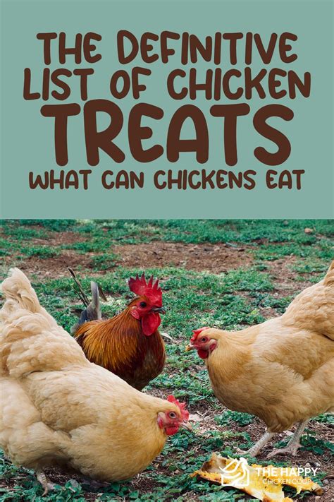 The Definitive List Of Chicken Treats What Can Chickens Eat Artofit