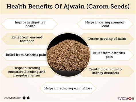 Ajwain Ke Fayde For Weight Loss In Urdu Blog Dandk