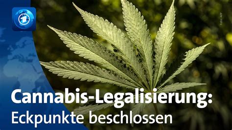 Bundesregierung beschließt Eckpunkte zur Cannabis Legalisierung YouTube