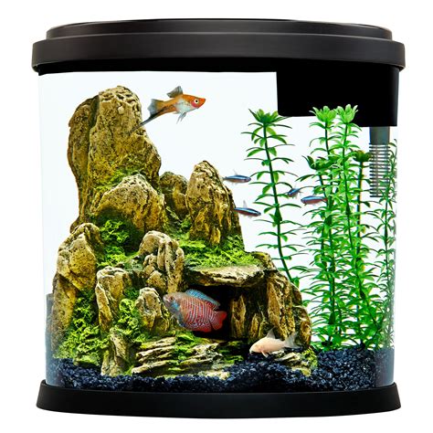 Fish Supplies for Fresh & Saltwater Aquariums | PetSmart