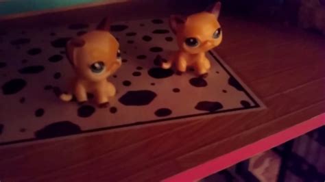 Lps Twins Are Going To A Trip Youtube