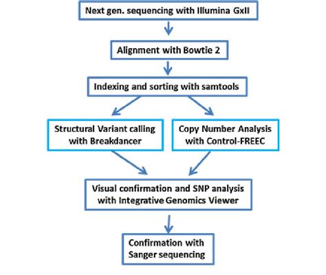 Whole genome sequencing data analysis pipeline. The data analysis ...