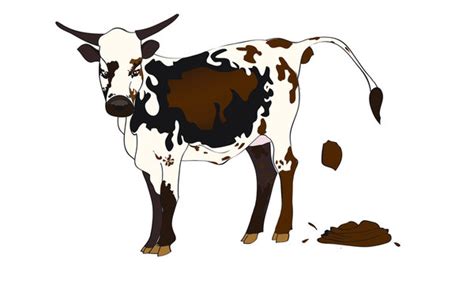 1,518 Cow Poo Images, Stock Photos & Vectors | Shutterstock - Clip Art ...