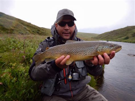 Best Brown Trout River In Iceland Availability In 2016 Anglersis