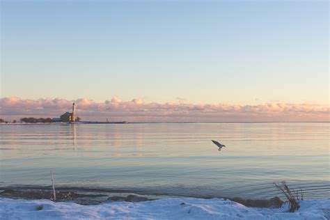 Free Images Sea Coast Water Ocean Horizon Bird Cloud Sunrise