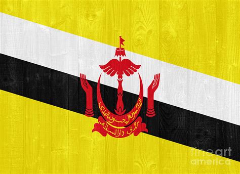 Brunei Darussalam flag Photograph by Luis Alvarenga | Fine Art America