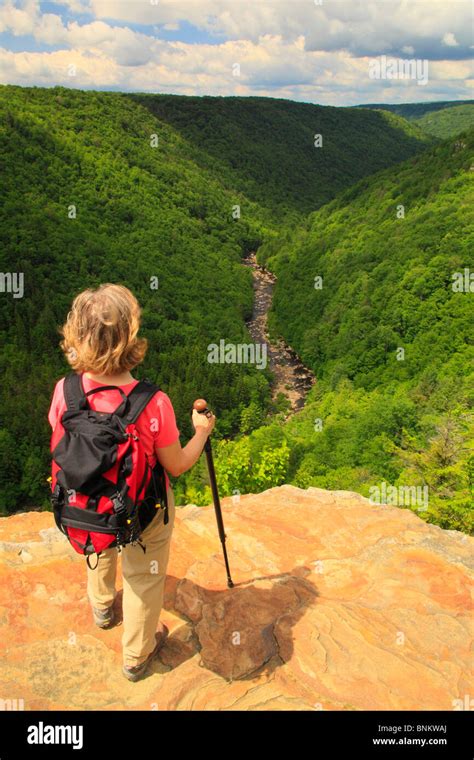 Hiker Looks Into Blackwater River Canyon From Pendleton Point Overlook