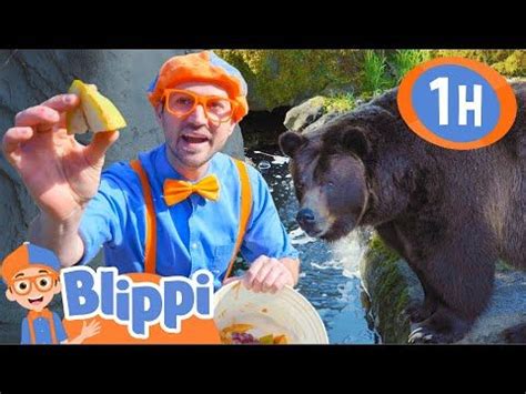 Blippi at the Zoo - Feeding the Animals | 1 HOUR BEST OF BLIPPI ...