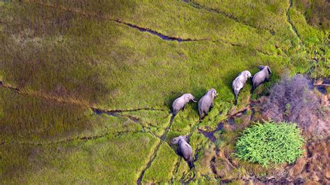 11 Of The Most Stunning Aerial Safaris In Africa Huffpost