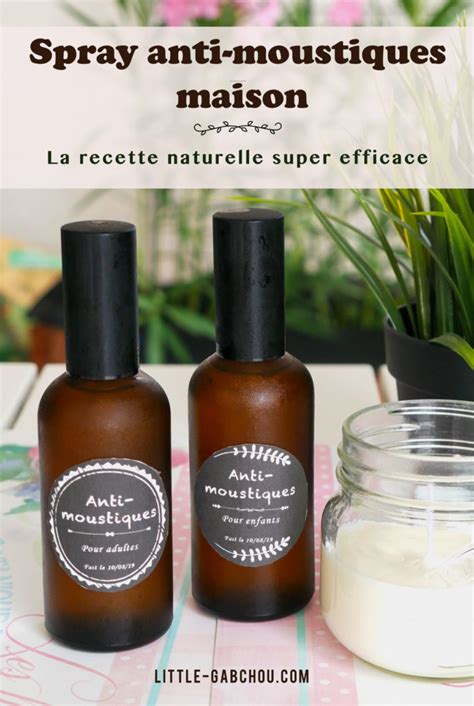 Diy Le Spray Anti Moustiques Et Anti Insectes Naturel Pour Toute La