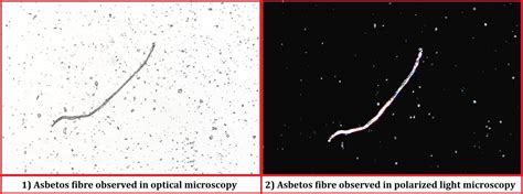 Polarized Light Microscopy - Nishka Research