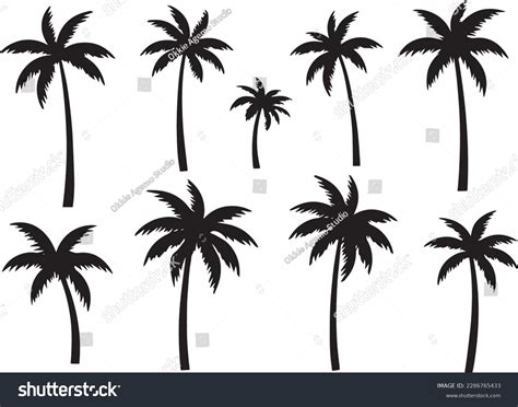 Coconut Tree Silhouette Vector