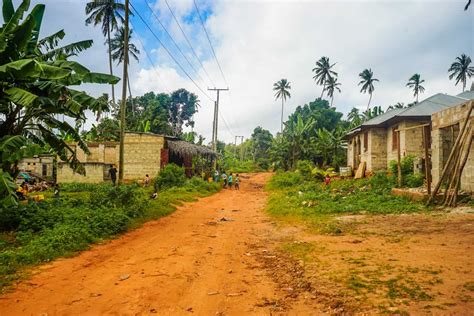 Why You Must Take A Spice Tour In Zanzibar Never Ending Footsteps