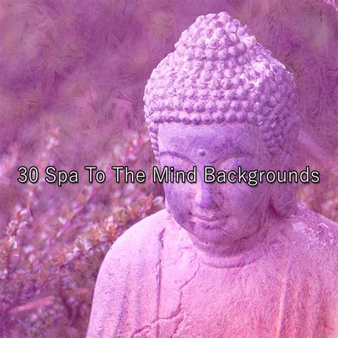 Spa To The Mind Backgrounds Album By Buddhist Meditation Music Set