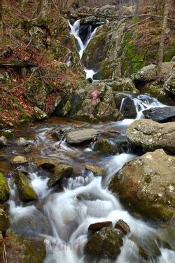 Spring Forest Waterfall Rocks | Waterfalls| Free Nature Pictures by ...