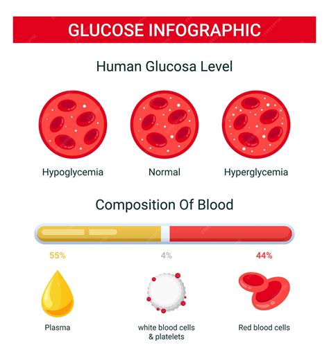 Glucose blood infographic, human glucose level, blood glucose