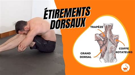 Étirements faciles des dorsaux pour corriger la posture