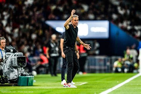 PSG Luis Enrique pense avoir vu la plus belle équipe au Parc des