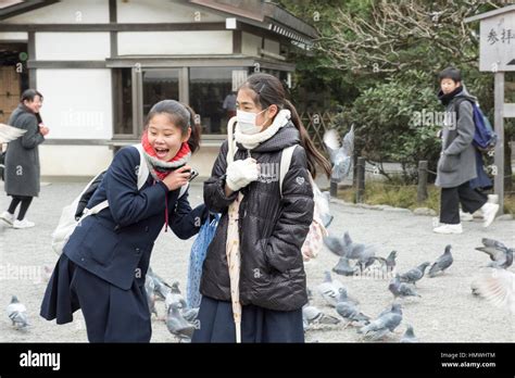 Hachiman Shrine, Kamakura, Kanagawa, Japan Stock Photo - Alamy